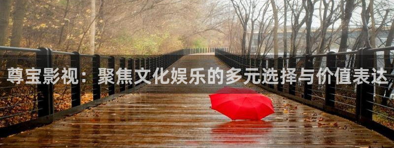 中國(guó)電影理論